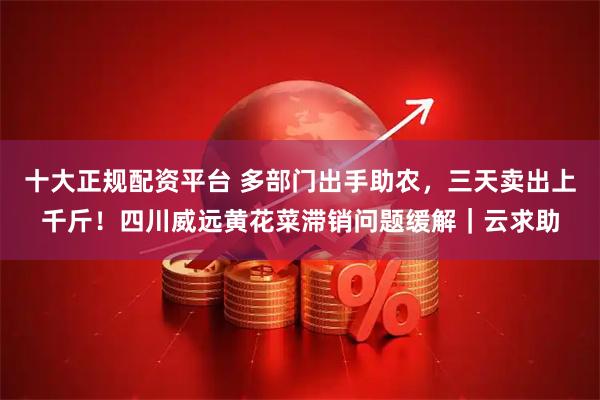 十大正规配资平台 多部门出手助农，三天卖出上千斤！四川威远黄花菜滞销问题缓解｜云求助